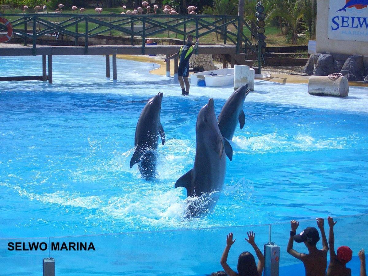 Estudio Benalbeach Primera Linea De Playa Benalmadena Luaran gambar
